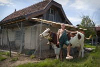 /album/les-off-du-calendrier/philippemtest2-jpg/