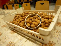 /album/les-gromailles/p1030266-jpg/