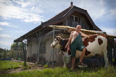 Calendrier des Amis du Vieux Seynod 2015