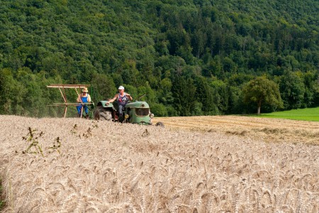 Moisson Amis du Vieux Seynod