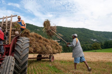 Moisson Amis du Vieux Seynod