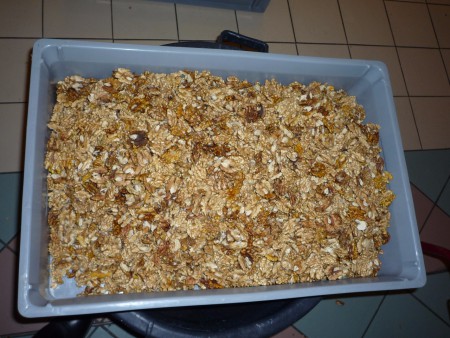 Gromailles Amis du Vieux Seynod