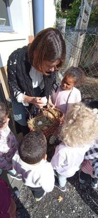 Atelier les animaux nous rendent service